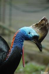 Zoo Lourosa