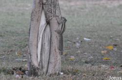 Sharjah National Park