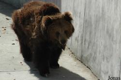 Beijing Zoological Gardens