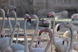 Sharjah Desert Park