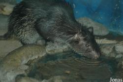 Beijing Zoological Gardens