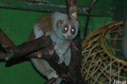 Beijing Zoological Gardens