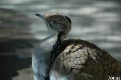 Beijing Zoological Gardens