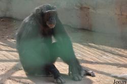 Doha Zoo
