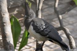 Doha Zoo