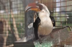 Doha Zoo
