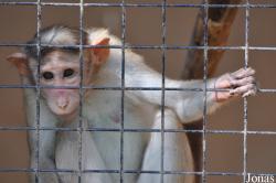 Al Ain Zoo