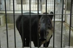 Beijing Zoological Gardens
