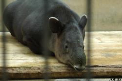 Beijing Zoological Gardens