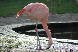 Zoologischer Garten Karlsruhe