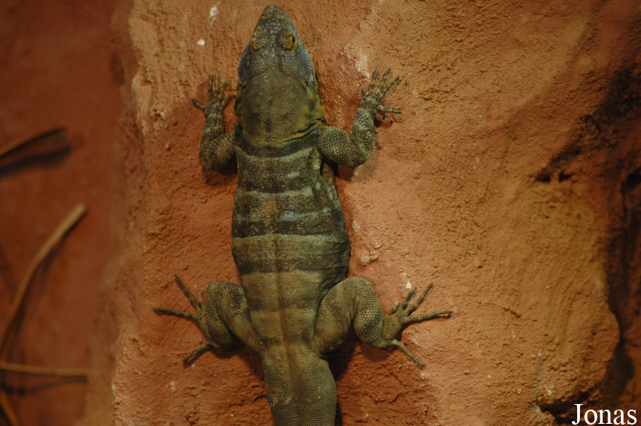 Zoologischer Garten Karlsruhe