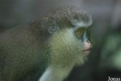 Espace Zoologique de St-Martin la plaine