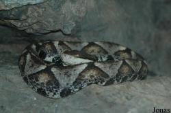 Beijing Zoological Gardens