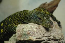 Zoo d'Amnéville