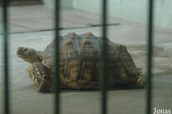Beijing Zoological Gardens