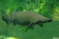 Aquarium du Grand Lyon