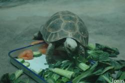 Beijing Zoological Gardens