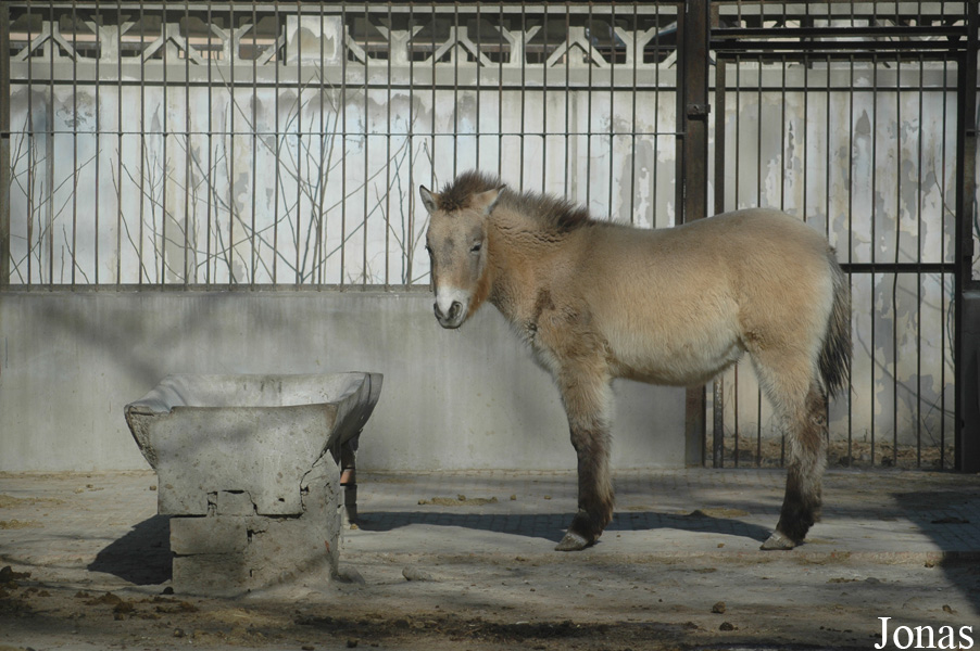 Beijing Zoological Gardens