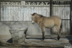 Beijing Zoological Gardens