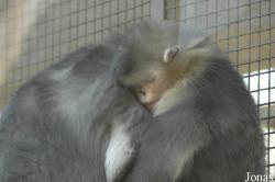 Beijing Zoological Gardens
