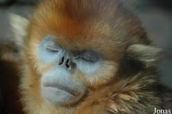 Beijing Zoological Gardens