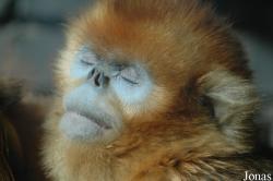 Beijing Zoological Gardens