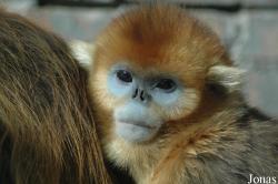 Beijing Zoological Gardens