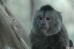 Beijing Zoological Gardens