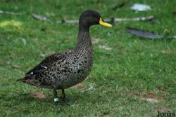 Parc des Oiseaux