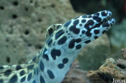 Bahrain Aqualife Centre
