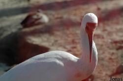 Beijing Zoological Gardens