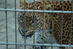 Best Zoo