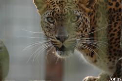 Best Zoo