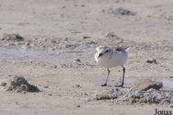 Umm Al Quwain