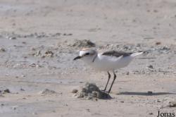 Umm Al Quwain