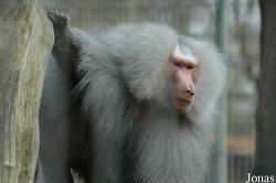 Best Zoo