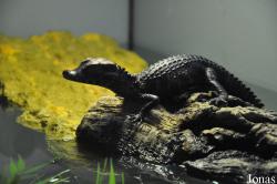 Zoo Zajac