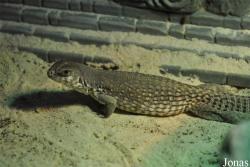 Zoo Zajac