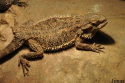 NatuurDoeZoo Insektenwereld