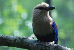 Taman Indonesia