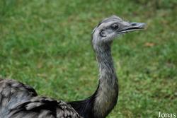 Zoologischer Garten Karlsruhe