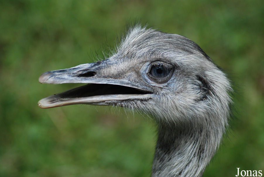 Zoologischer Garten Karlsruhe