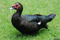 Zoologischer Garten Karlsruhe