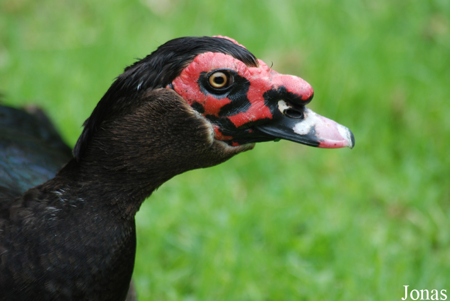 Zoologischer Garten Karlsruhe