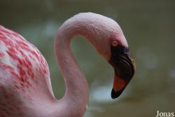 Zoologischer Garten Karlsruhe