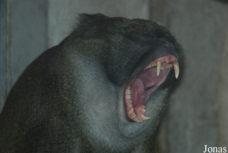 Zoologischer Garten Karlsruhe