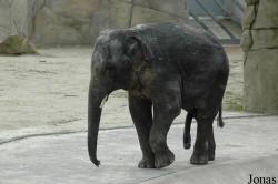 Zoo Köln