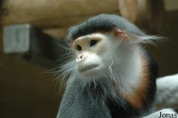 Zoo Köln