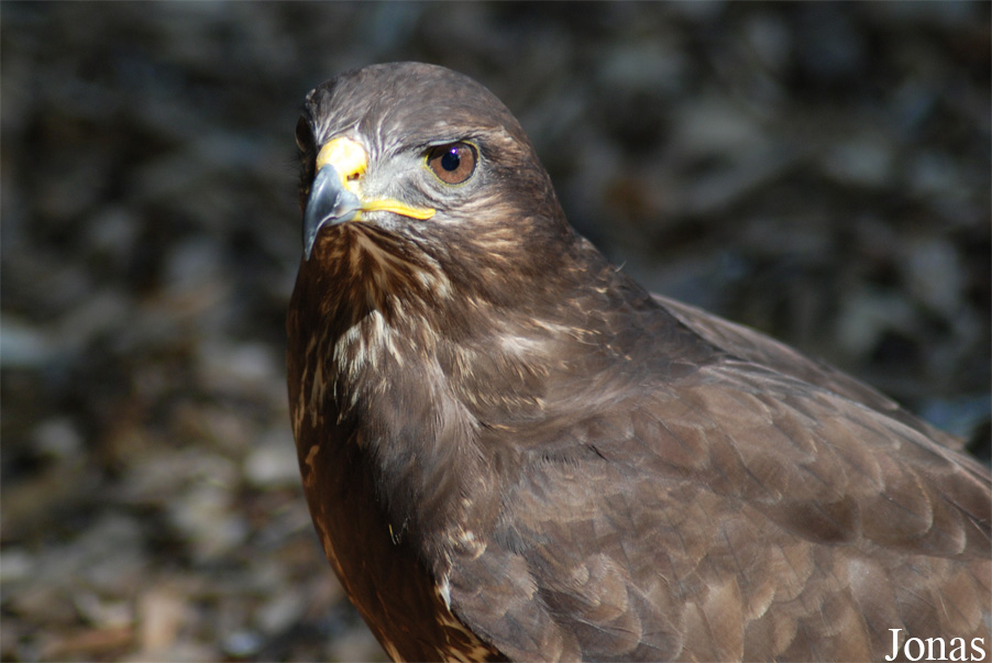 Zoo Olomouc
