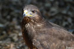 Zoo Olomouc